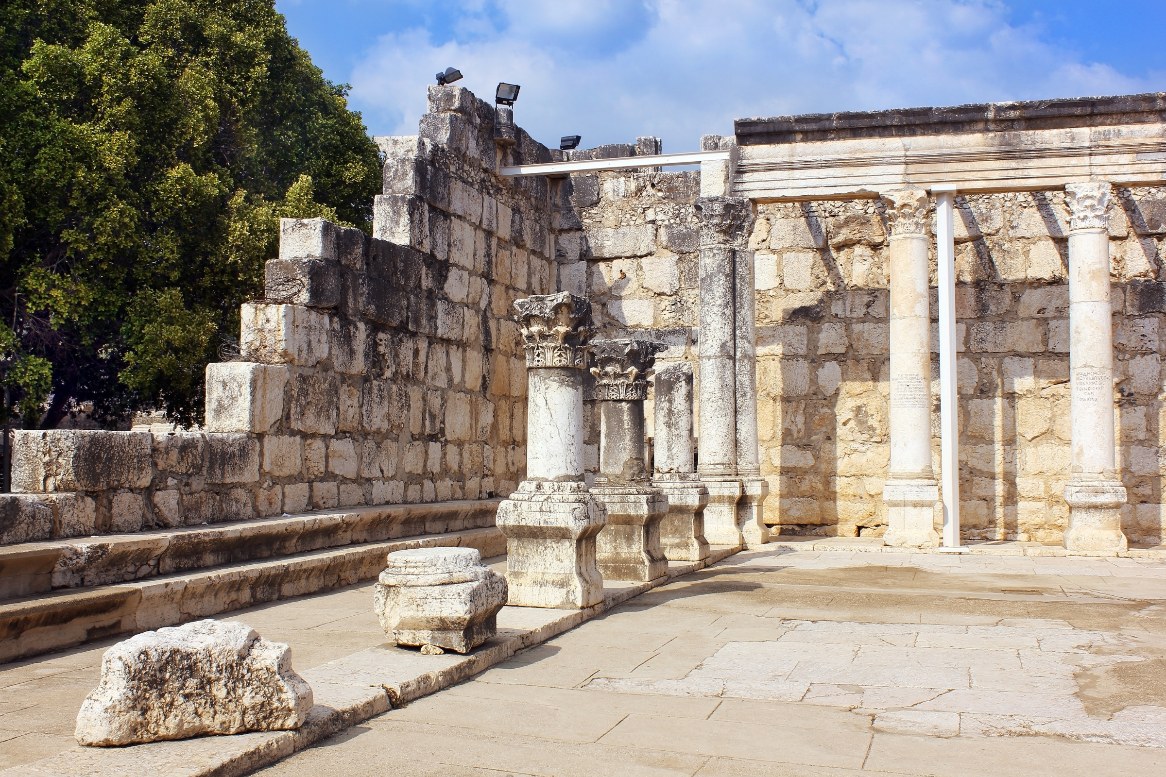 capernaum (4).webp